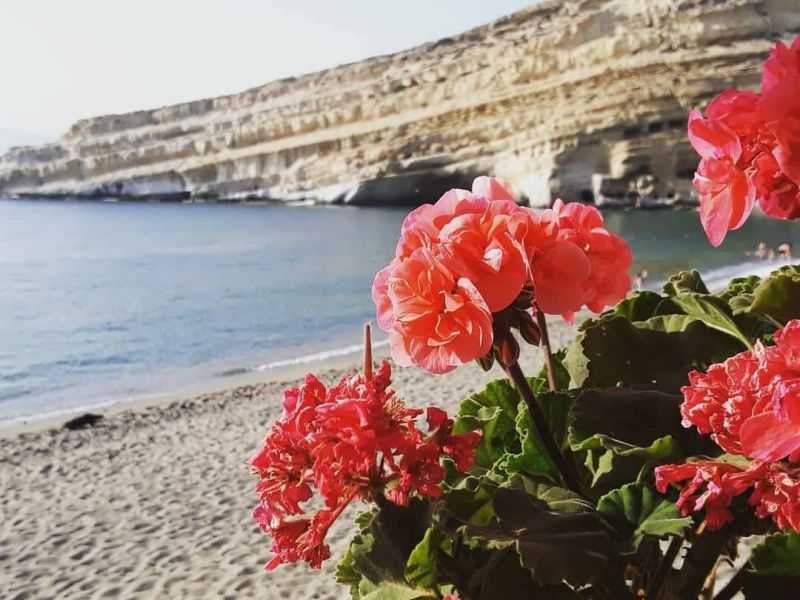 Summer 2022: Holidays in hotel in Matala, Crete!